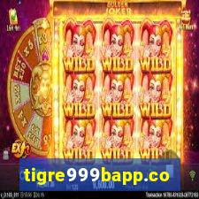 tigre999bapp.com