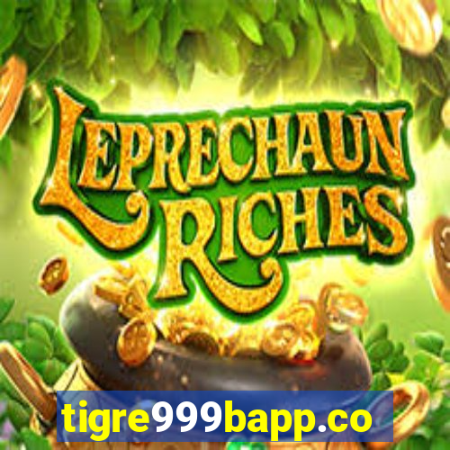 tigre999bapp.com