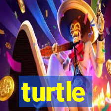 turtle-ty.com