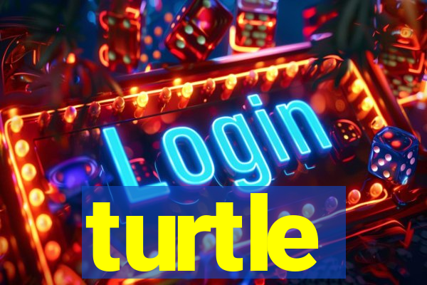 turtle-ty.com
