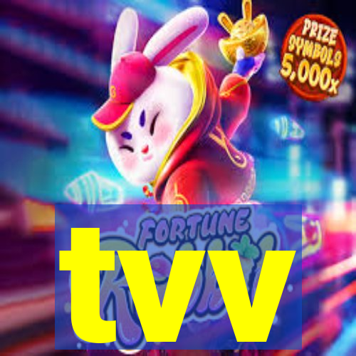 tvv-pg.com