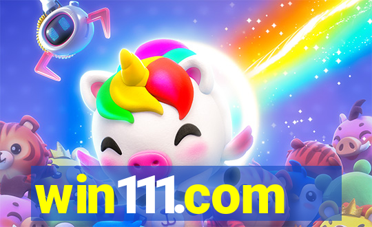 win111.com