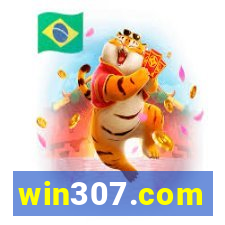 win307.com